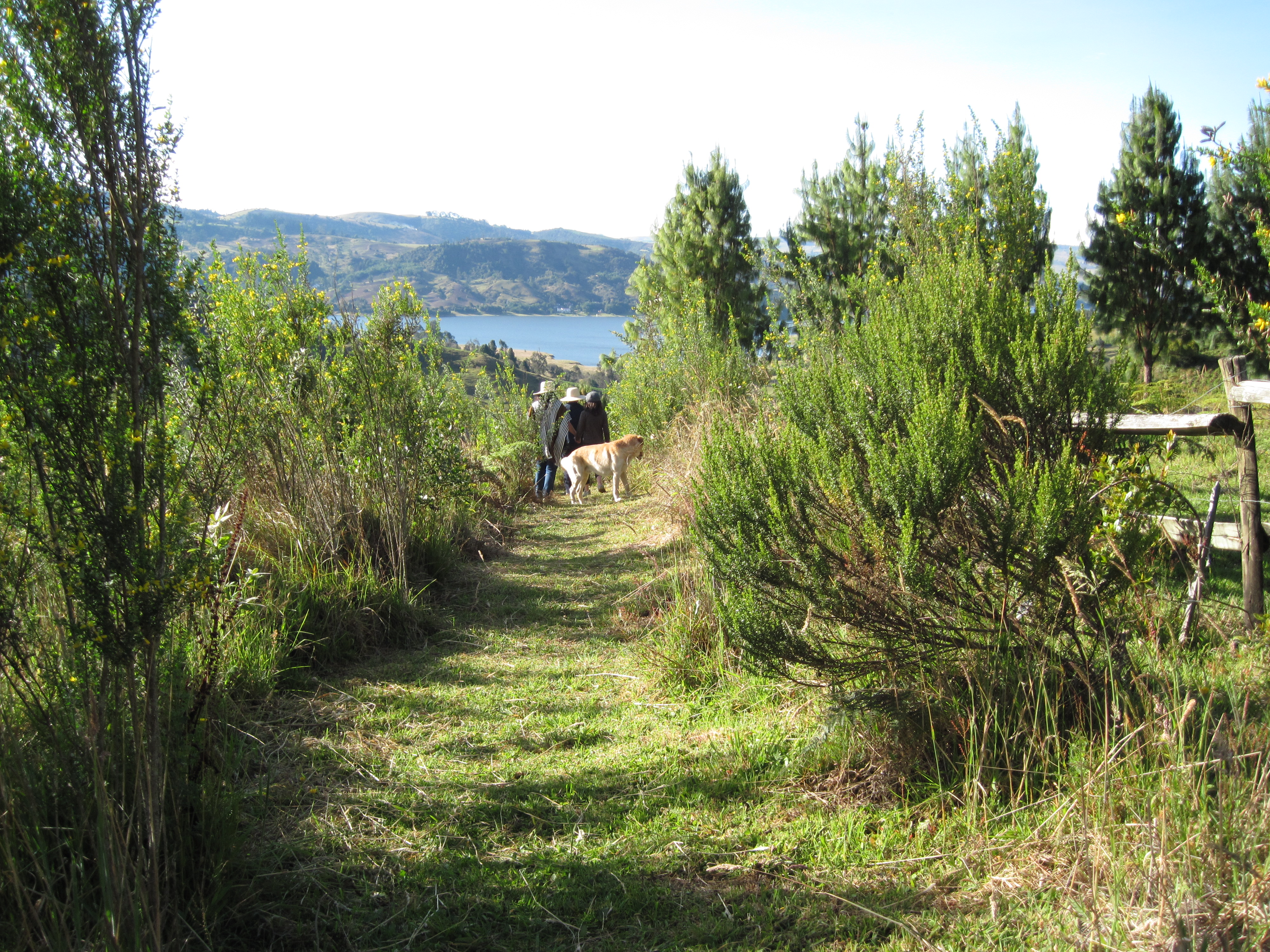 walk-7